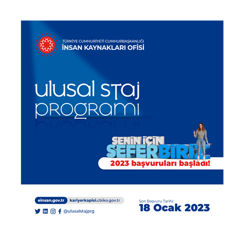 Ulusal Staj Programı